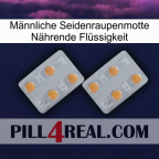 Männliche Seidenraupenmotte Nährende Flüssigkeit 25